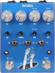 Reverb/delay/echo effektpedal Ac noises RICORDA REVERB FREEZE