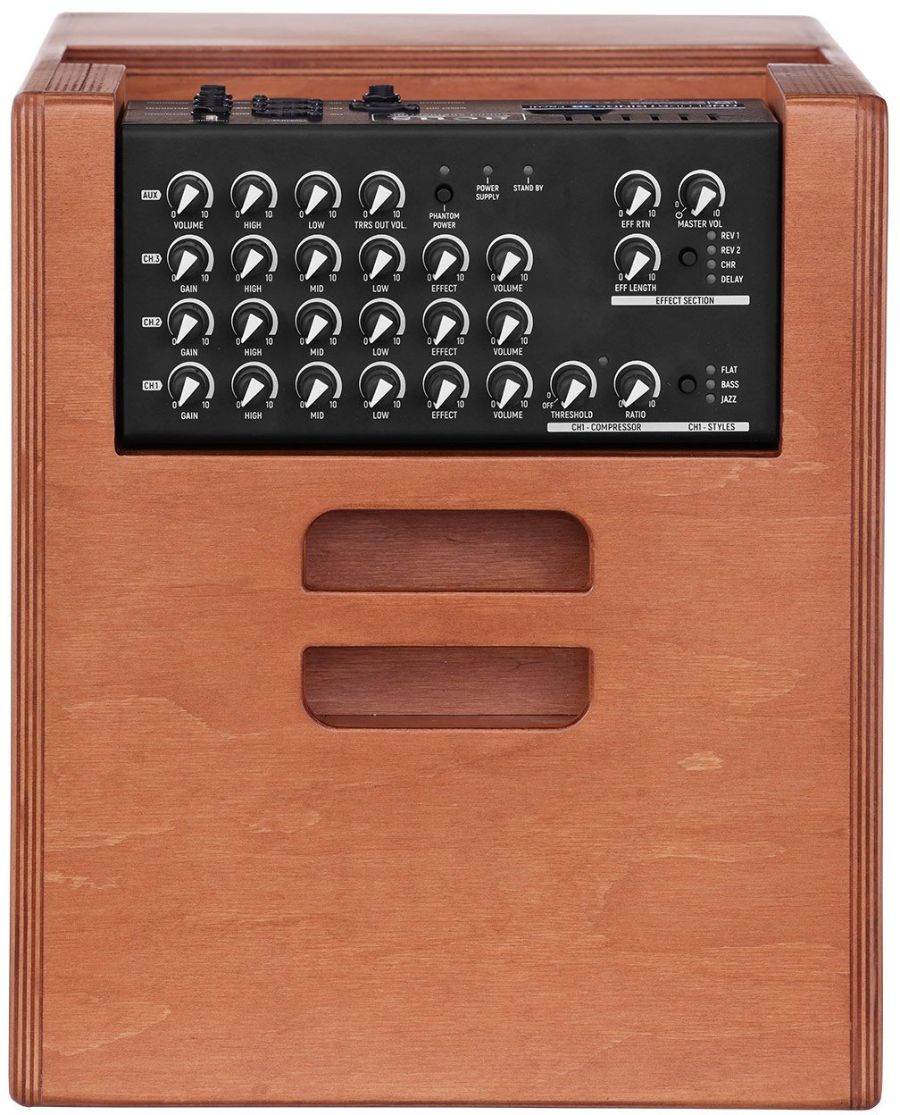 Acus One Forstrings 10ferdi 1x10 + Tweeter 170+80w Cherry Wood - Combo für Akustikgitarre - Variation 3
