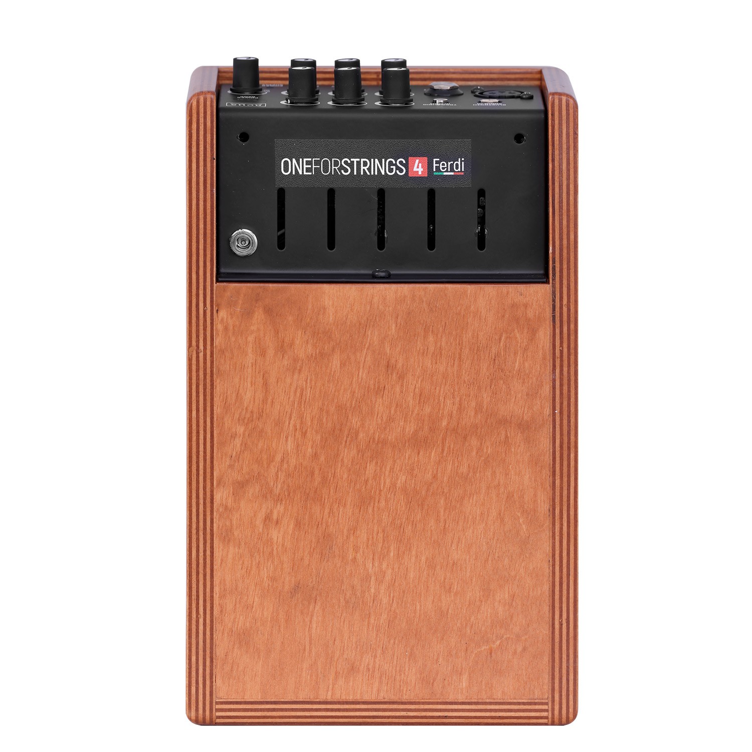 Acus One Forstrings 4ferdi Wood 40w - Combo für Akustikgitarre - Variation 2