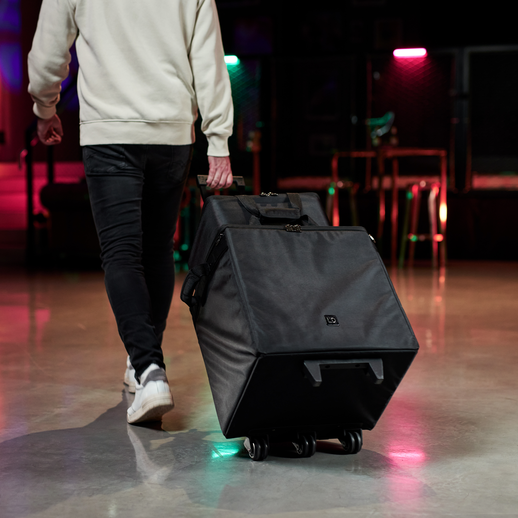 Ld Systems Dave 10 G4x Bag Set - Tasche für Lautsprecher & Subwoofer - Variation 13