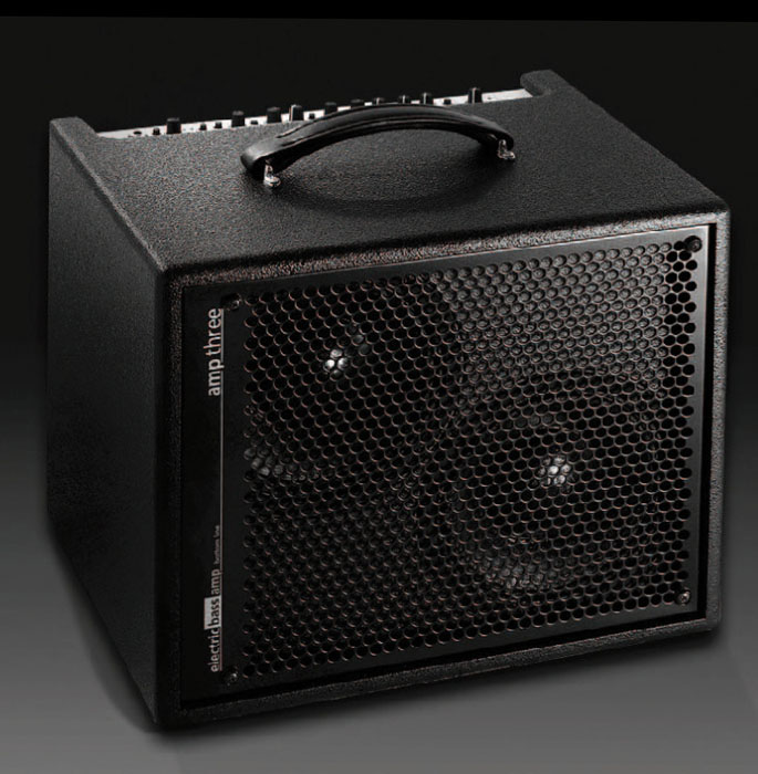 Aer Amp Three - Bass Combo - Variation 1