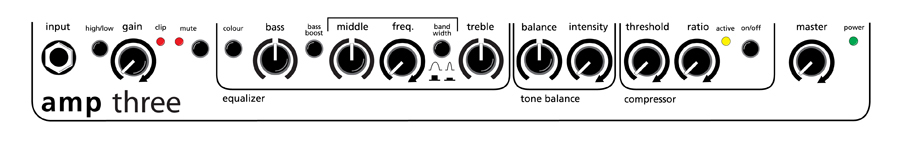 Aer Amp Three - Bass Combo - Variation 2
