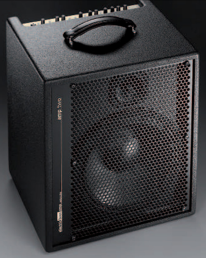 Aer Amp Two 240w 1x12 - Bass Combo - Variation 1