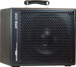 Bass combo Aer AP1 Amp One