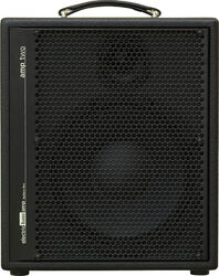 Bass combo Aer Amp Two