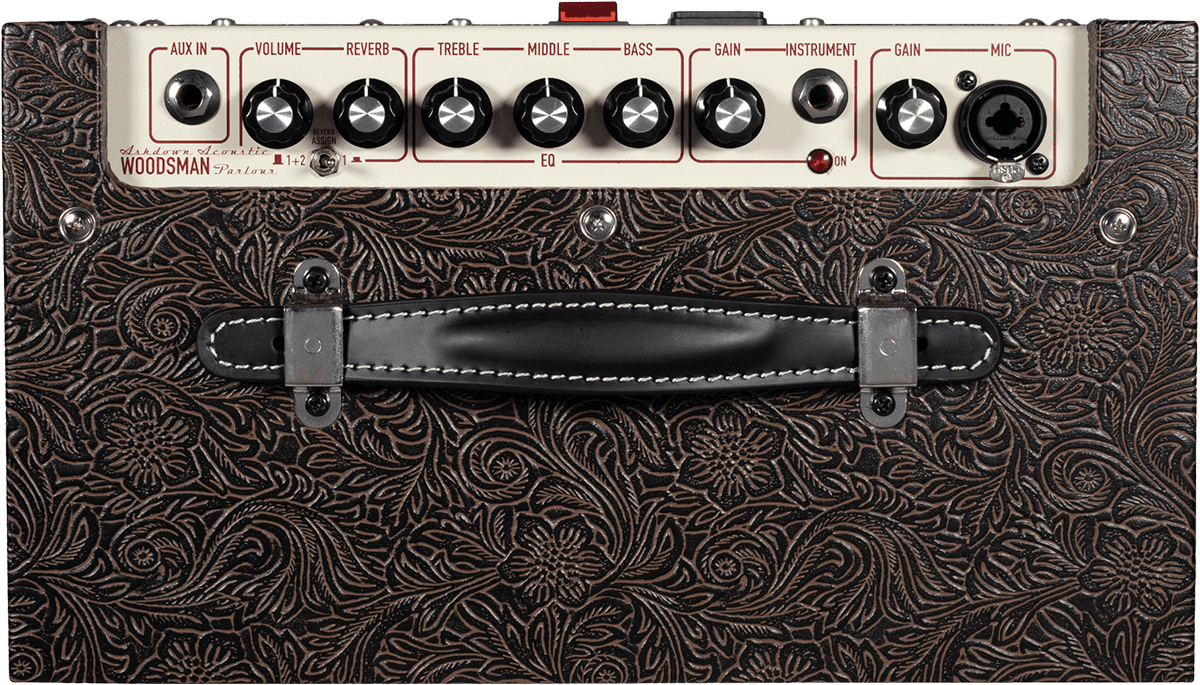 Ashdown Woodsman Parlour Combo 25w 1x8 - Combo für Akustikgitarre - Variation 3