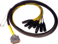 Multicore-kabel Avid 