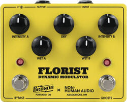 Florist Modulation Ltd - Yellow
