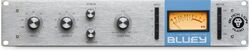 Kompressor/limiter gate Black lion audio BLUEY