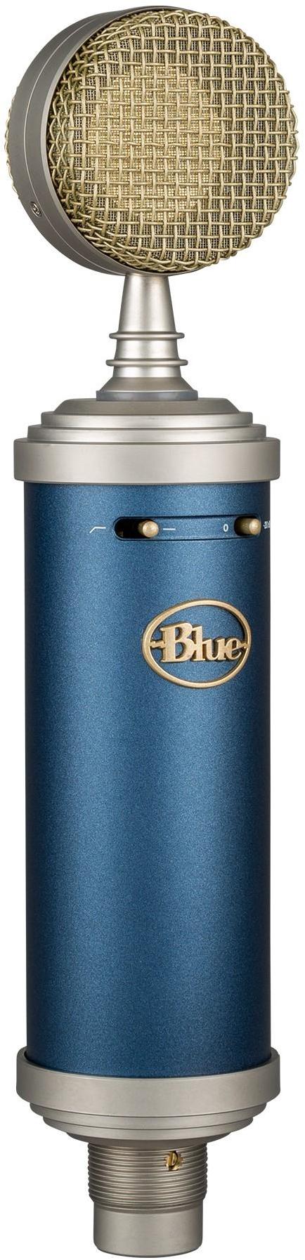 Blue Bluebird SL