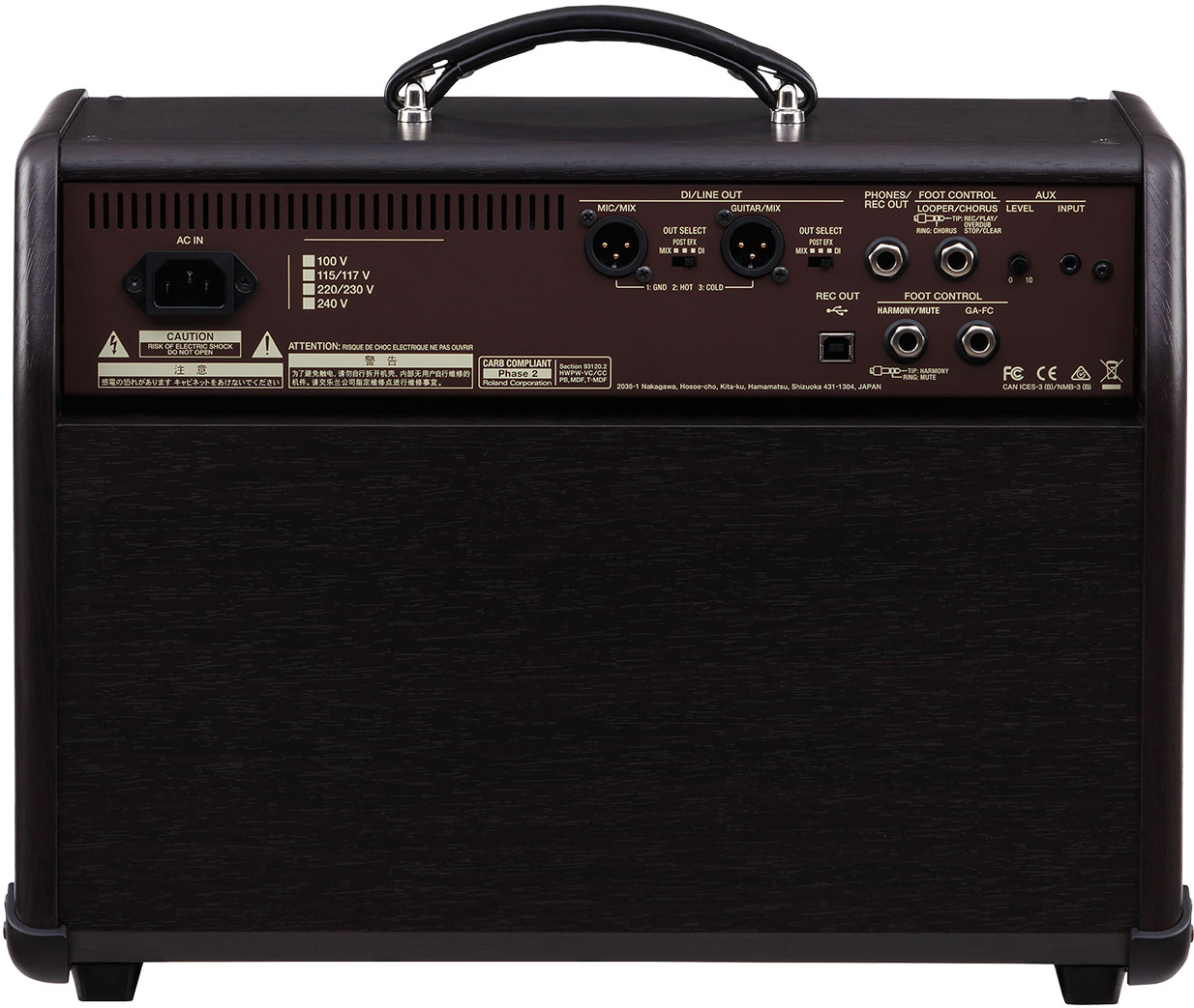 Boss Acoustic Singer Pro 120w 1x8 - Combo für Akustikgitarre - Variation 2
