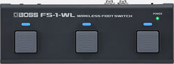 FS-1-WL