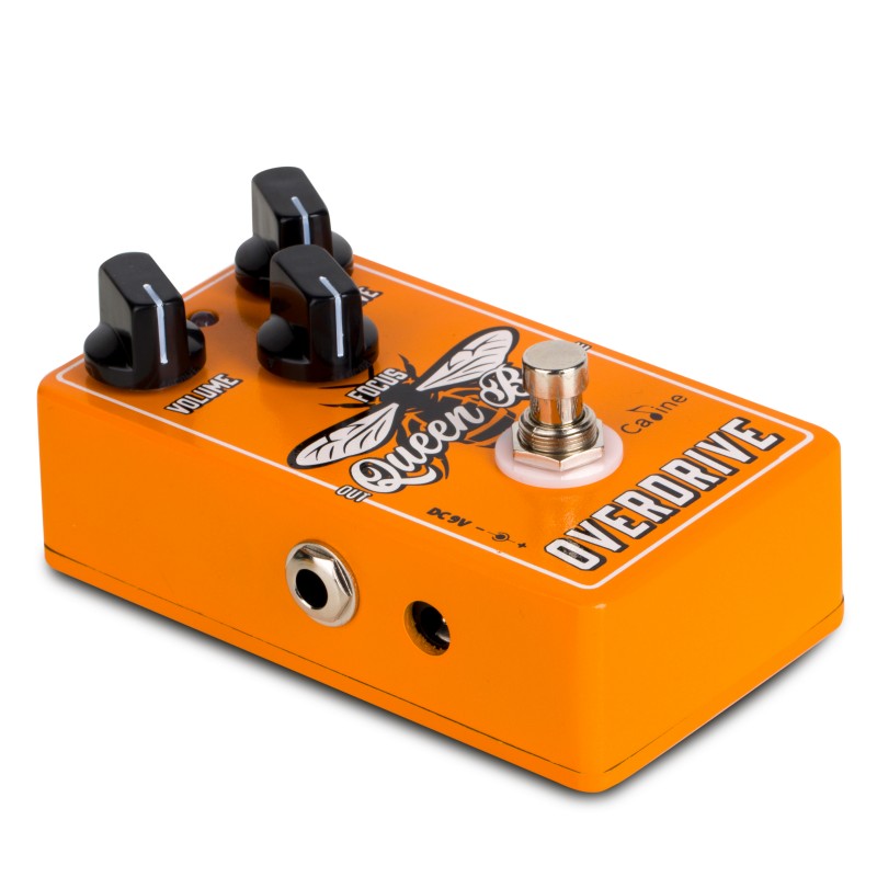 Caline Cp503 Queen Bee Overdrive - Overdrive/Distortion/Fuzz Effektpedal - Variation 1