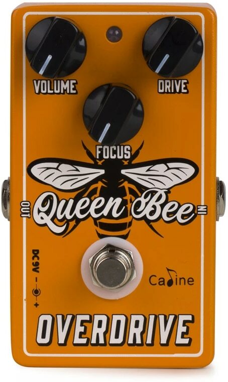 Caline Cp503 Queen Bee Overdrive - Overdrive/Distortion/Fuzz Effektpedal - Main picture