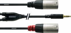 Kabel Cordial CFY3WMM mini-Jack stereo / 2x XLR male - 3m