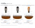 Cordoba Guitare Classique Format 4/4 - Electro-acoustique - Konzertgitarren 4/4 - Variation 3