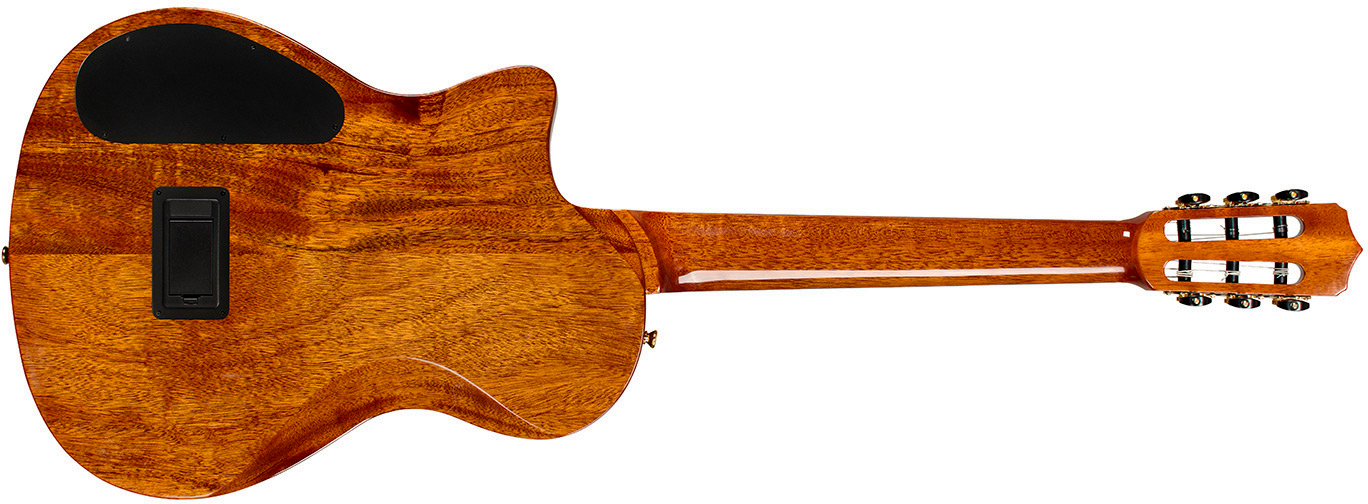 Cordoba Stage Artist Cw Epicea Acajou Eb - Agave Burst - Konzertgitarren 4/4 - Variation 1
