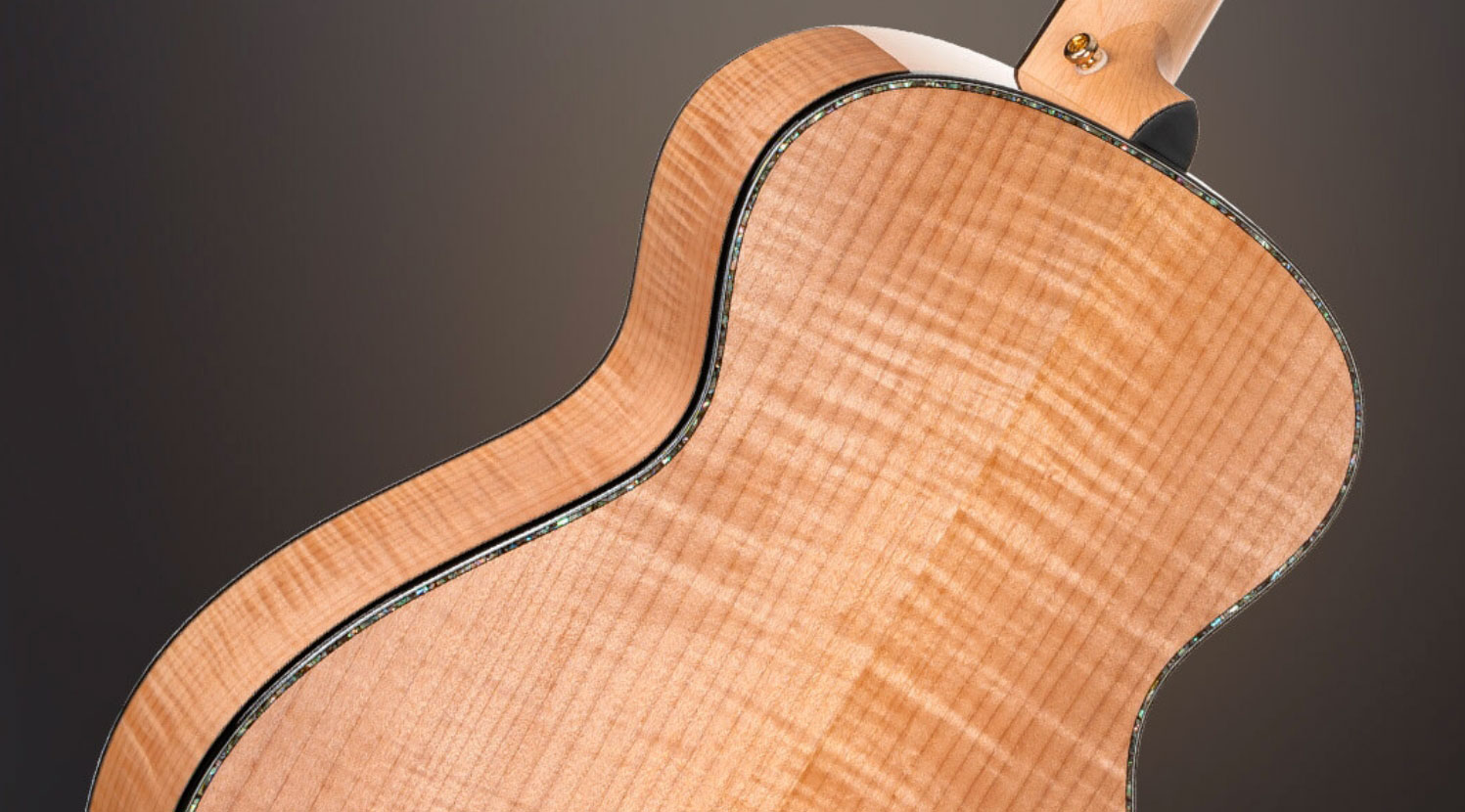 Cort Gold Passion Grand Concert Epicea Erable Eb - Natural - Folk-Gitarre - Variation 6