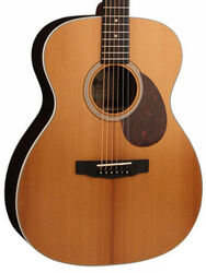 Folk-gitarre Cort L200ATV SG - Natural