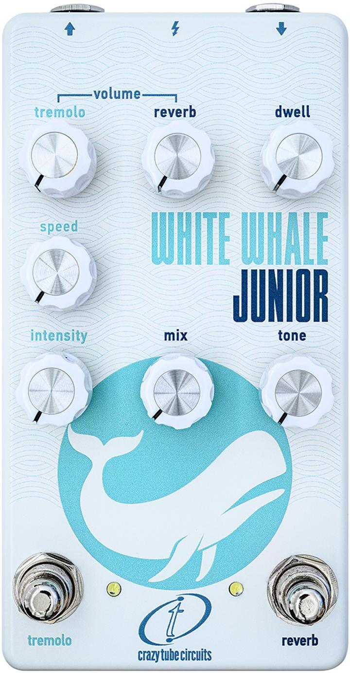 Crazy Tube Circuit Whte Whale Jr - Reverb/Delay/Echo Effektpedal - Main picture