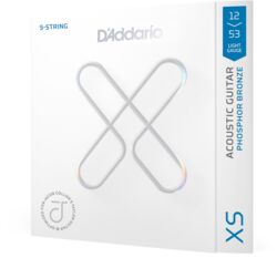 Westerngitarre saiten D'addario 12-53 Light, Jacob Collier 5-String Taylor,  Coated Acoustic Guitar Strings - 5-saiten-set