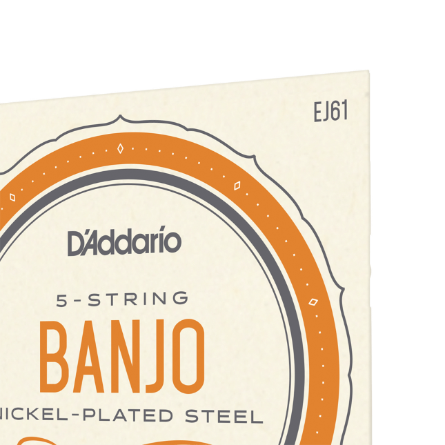 D'addario Ej61 5-string Bango Medium Nickel Plated Steel 010-023 - Banjo Saiten - Variation 1
