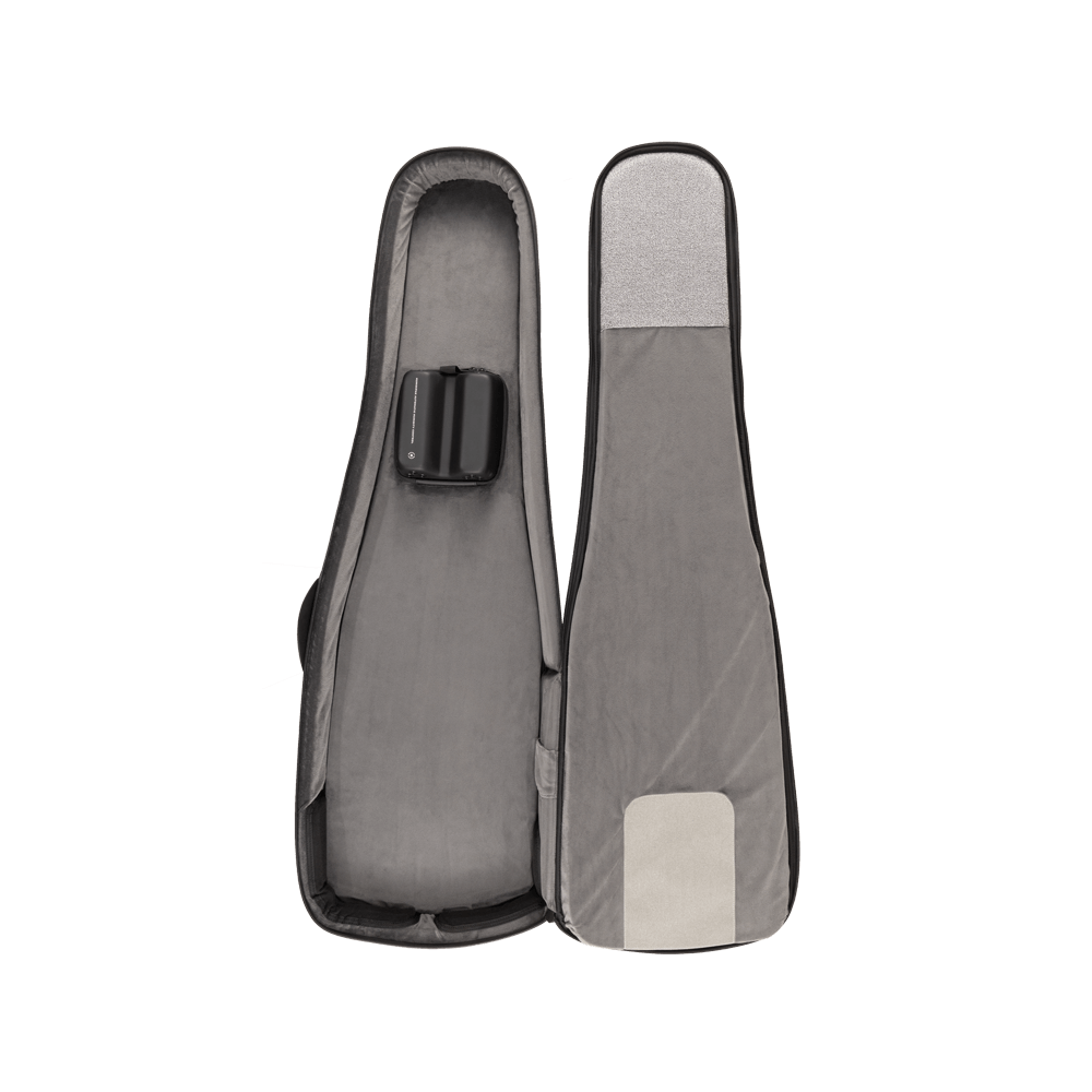 D'addario Pw-blebc-01 Backline Electric Bass Case - Koffer für E-Gitarren - Variation 10