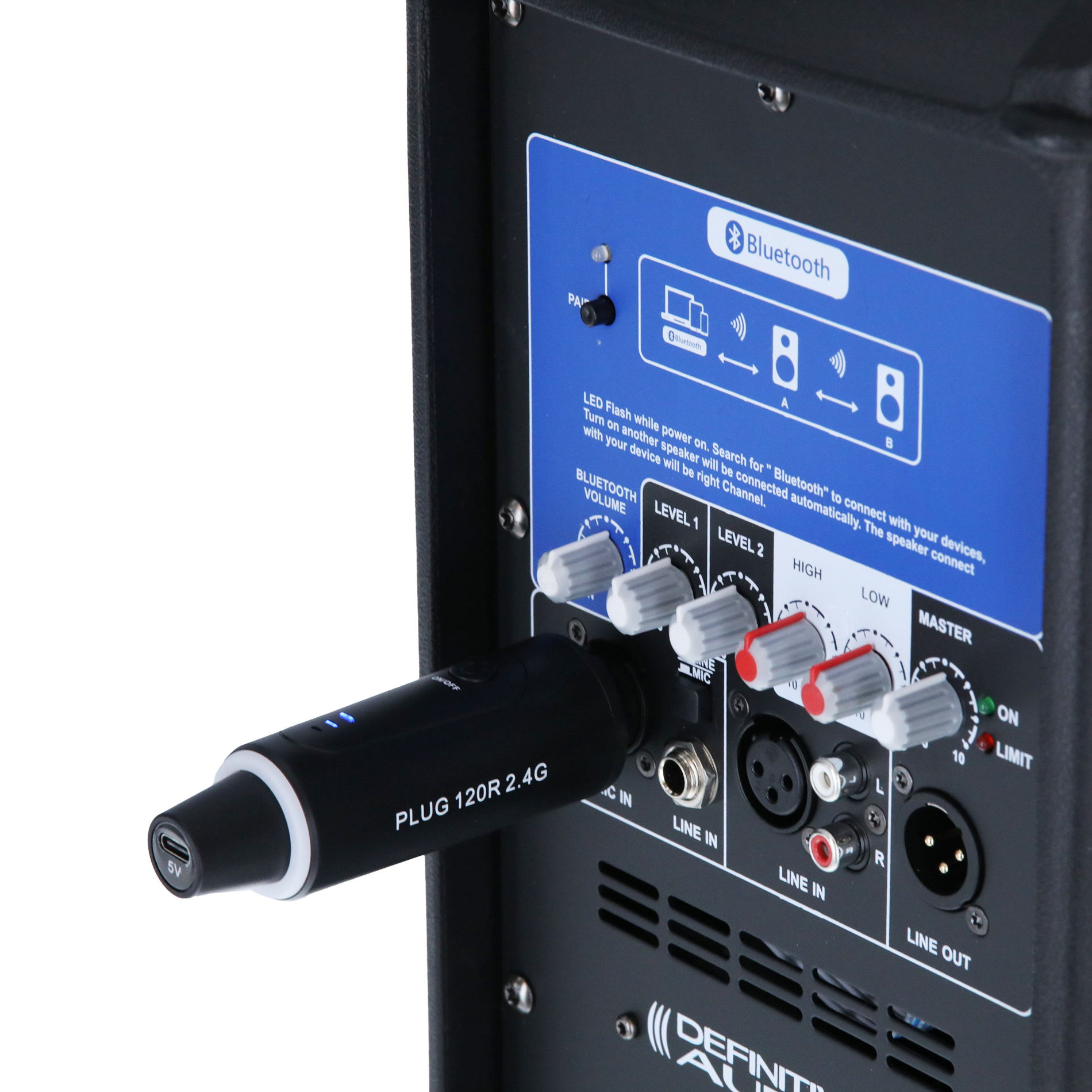 Definitive Audio Plug 120r 2.4g - Wireless Sender-Empfänger System - Variation 8