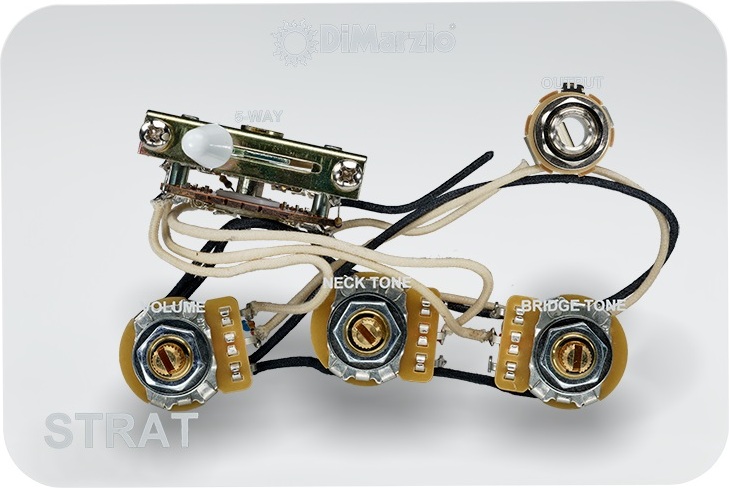 Dimarzio Gw2113 - Poti - Main picture