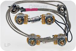 Poti Dimarzio GW2101