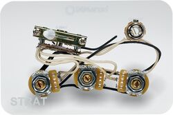 Poti Dimarzio GW2113