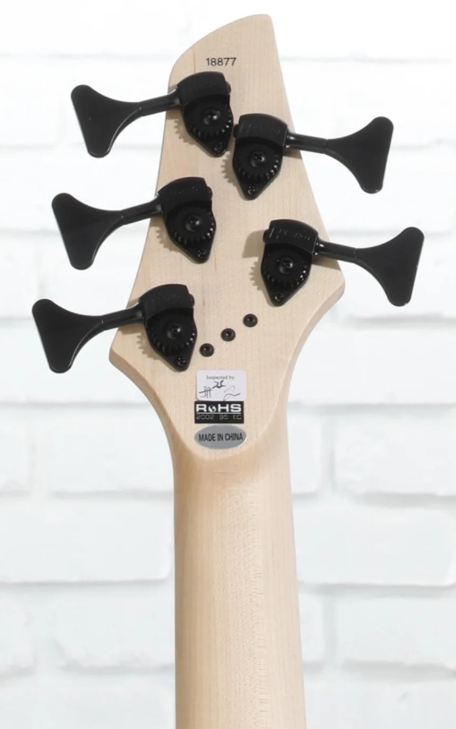 Dingwall Combustion Nashville Cn3 5c 3pu Active Mn - Whalepool Burst - Solidbody E-bass - Variation 9