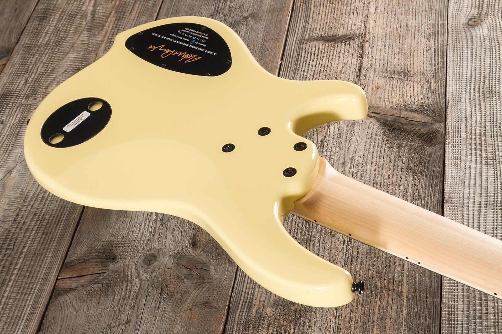 Dingwall John Taylor Rio Dream Jt3 5c Ltd Signature 3pu Active Mn - Creme - Solidbody E-bass - Variation 11