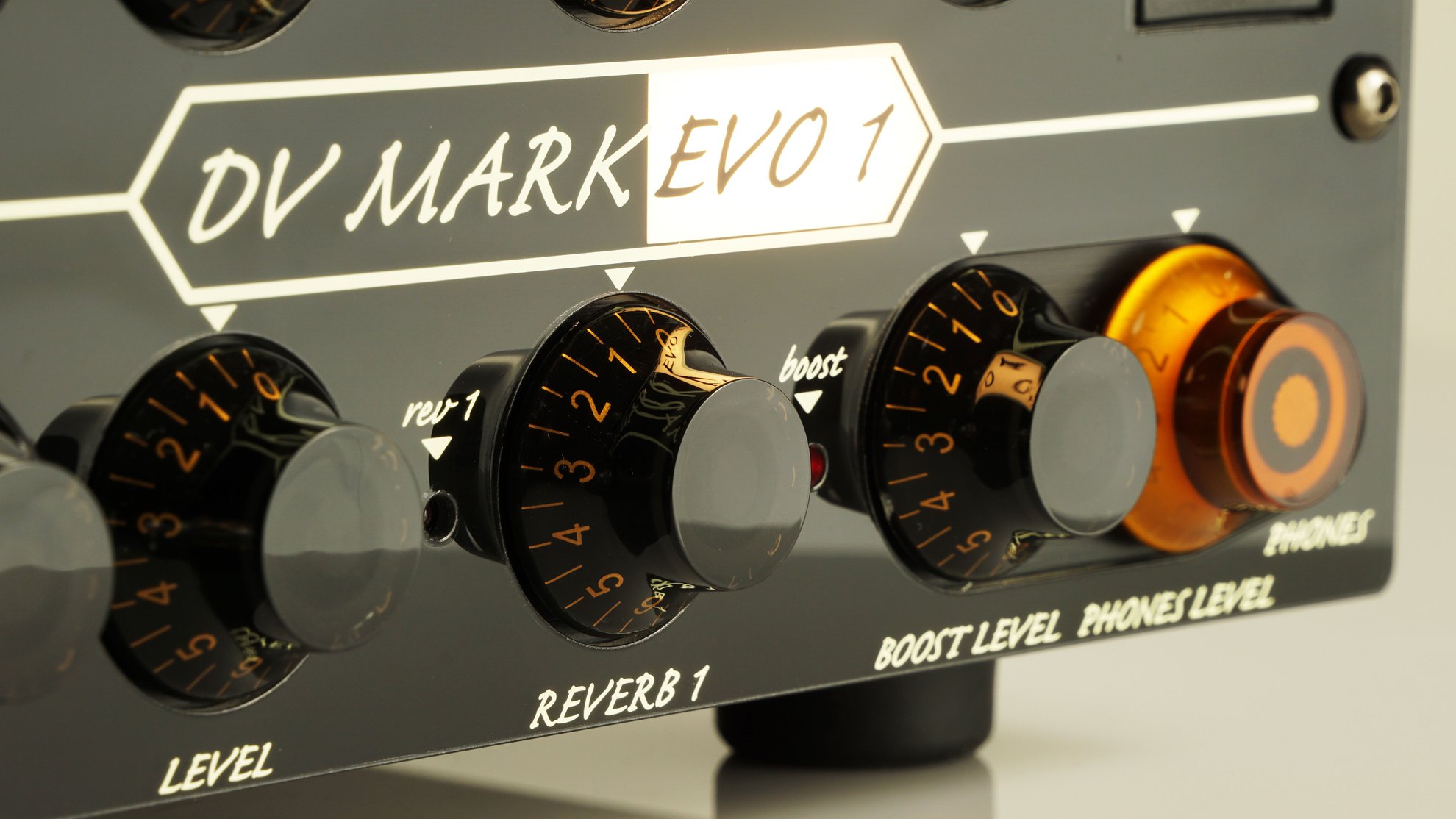 Dv Mark Evo 1 - E-Gitarre Topteil - Variation 6