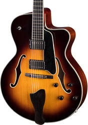 Archtop AR605CED - Truetone Gloss Sunburst