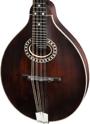A-style Oval-hole MD304 - classic