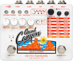 Looper effektpedal Electro harmonix Grand Canyon Delay & Looper