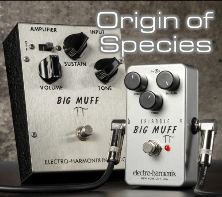 Electro Harmonix Triangle Big Muff Pi Distortion/sustainer/fuzz - Overdrive/Distortion/Fuzz Effektpedal - Variation 2