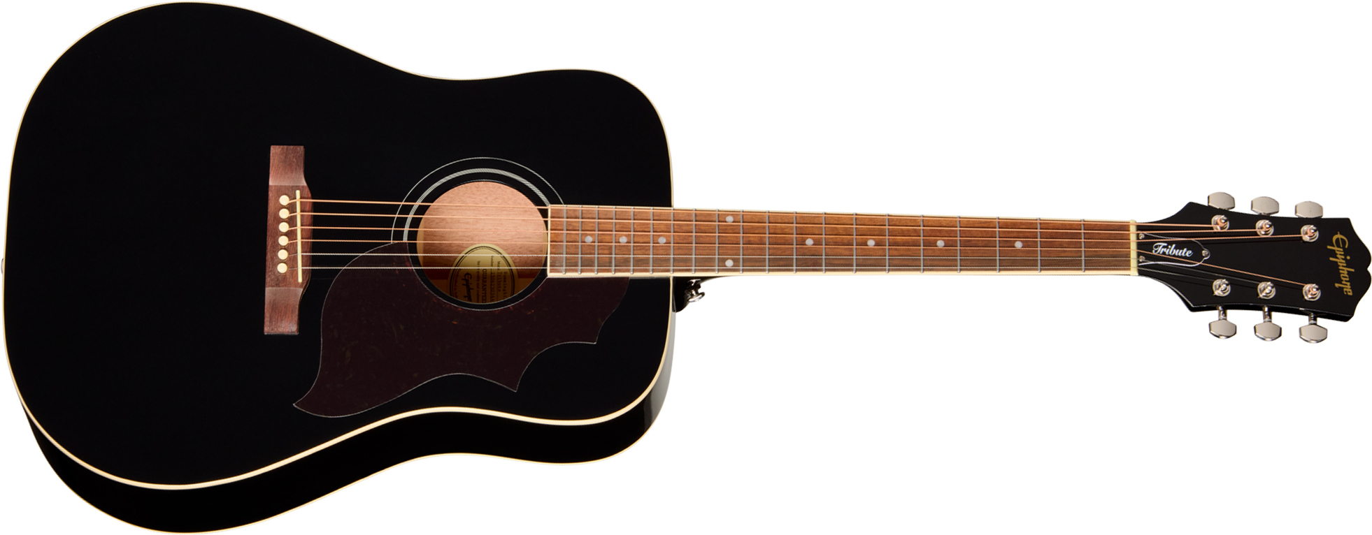 Epiphone Hummingbird Tribute Dreadnought Shsc Epicea Acajou Lau - Ebony - Folk-Gitarre - Main picture
