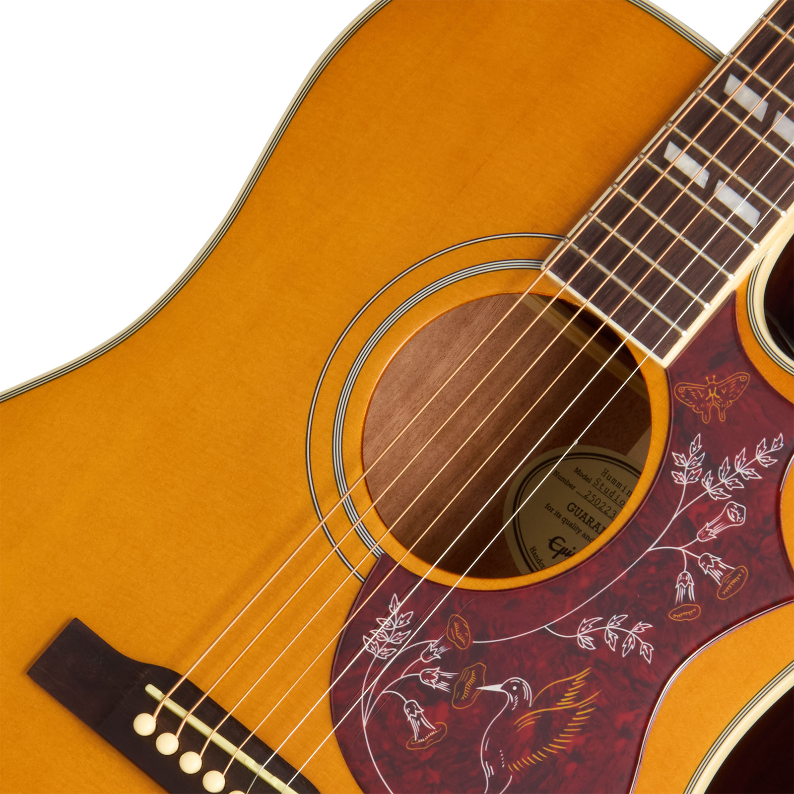 Epiphone Hummingbird Studio Ec Ibg Dreadnought Cw Epicea Acajou Rw - Natural - Folk-Gitarre - Variation 2