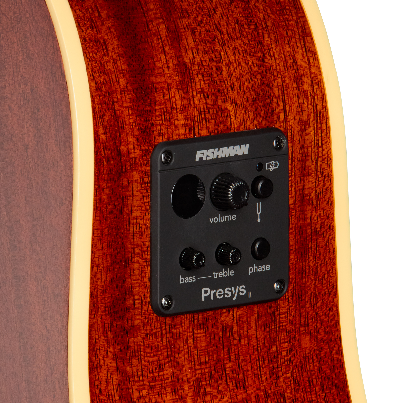 Epiphone J45 Standard Ec Ibg Dreadnought Cw Epicea Acajou Rw - Honey Burst - Folk-Gitarre - Variation 3