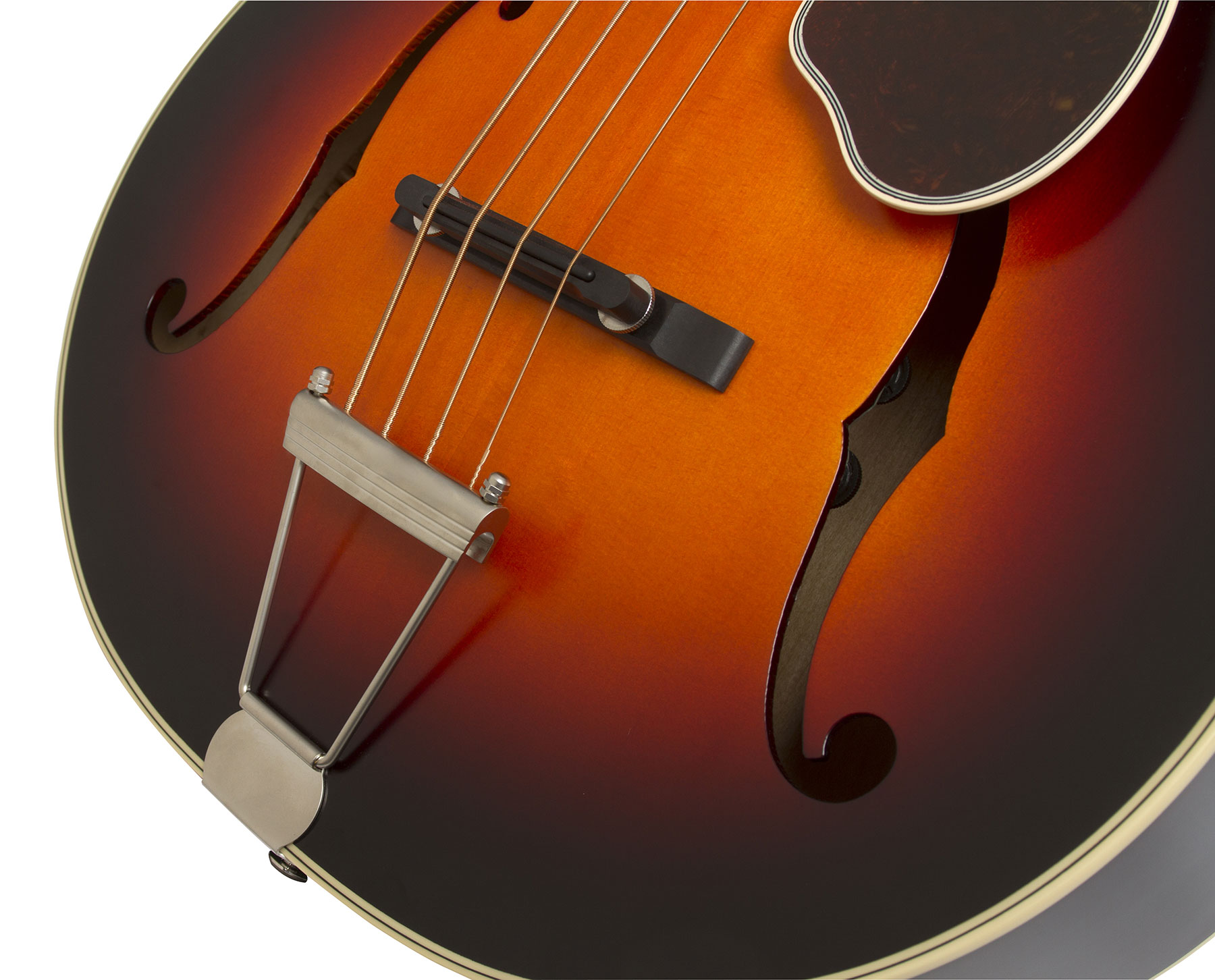 Epiphone Masterbilt Century De Luxe Classic 4-string Acoustic/electric Bass Eb - Vintage Sunburst - Halbakustiche Bass - Variation 2