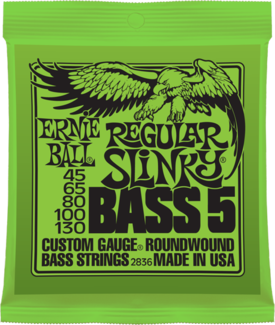 Ernie Ball Jeu De 5 Cordes Bass (5) 2836 Regular Slinky 45-130 - E-Bass Saiten - Main picture