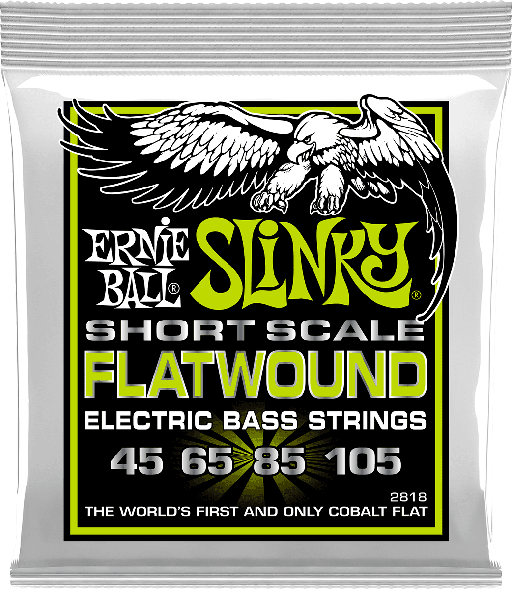 Ernie Ball Regular Slinky Flatwound Short Scale 45-105 - E-Bass Saiten - Main picture