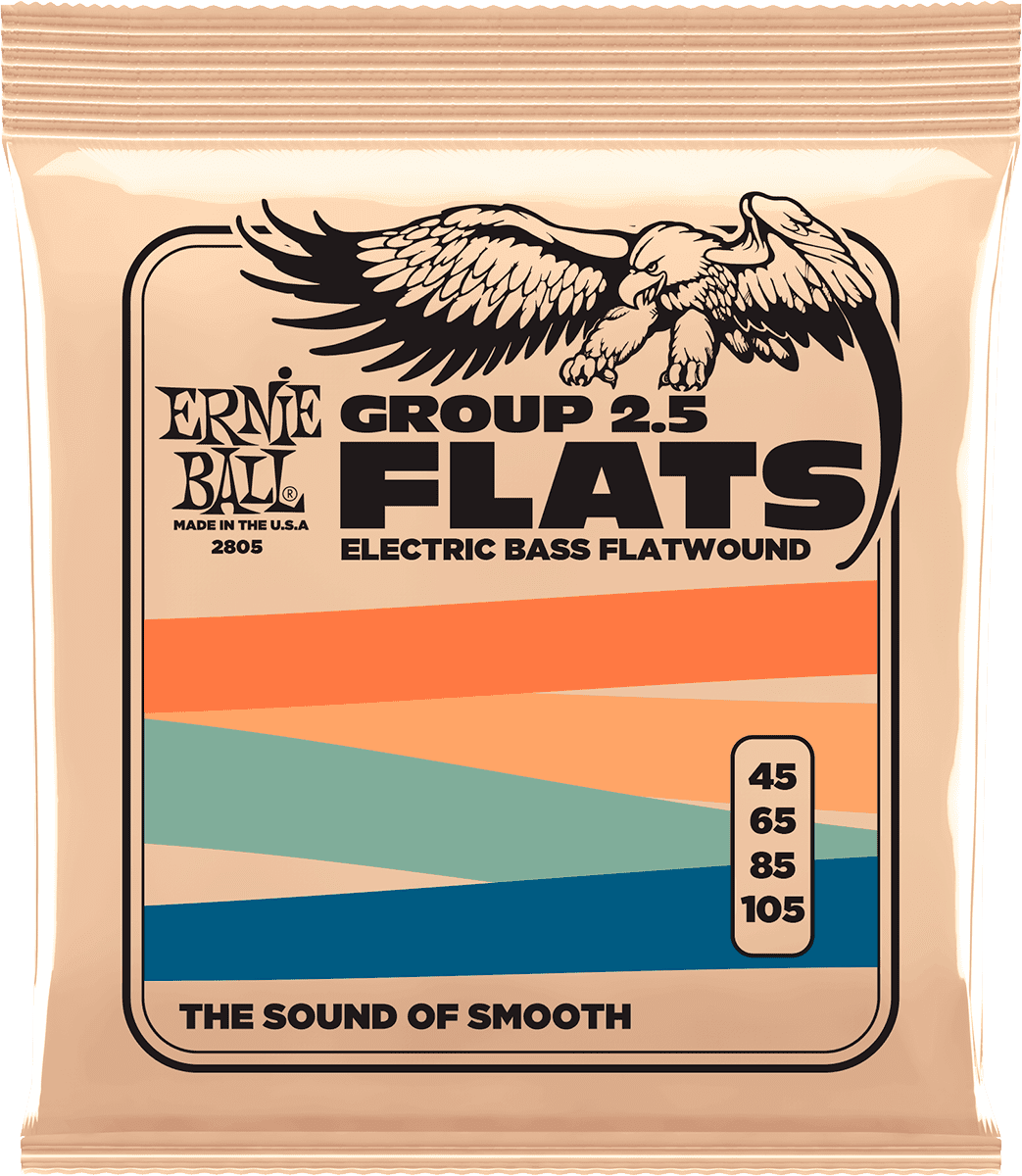 Ernie Ball Slinky Flats Bass Long Scale 45-105 - E-Bass Saiten - Main picture