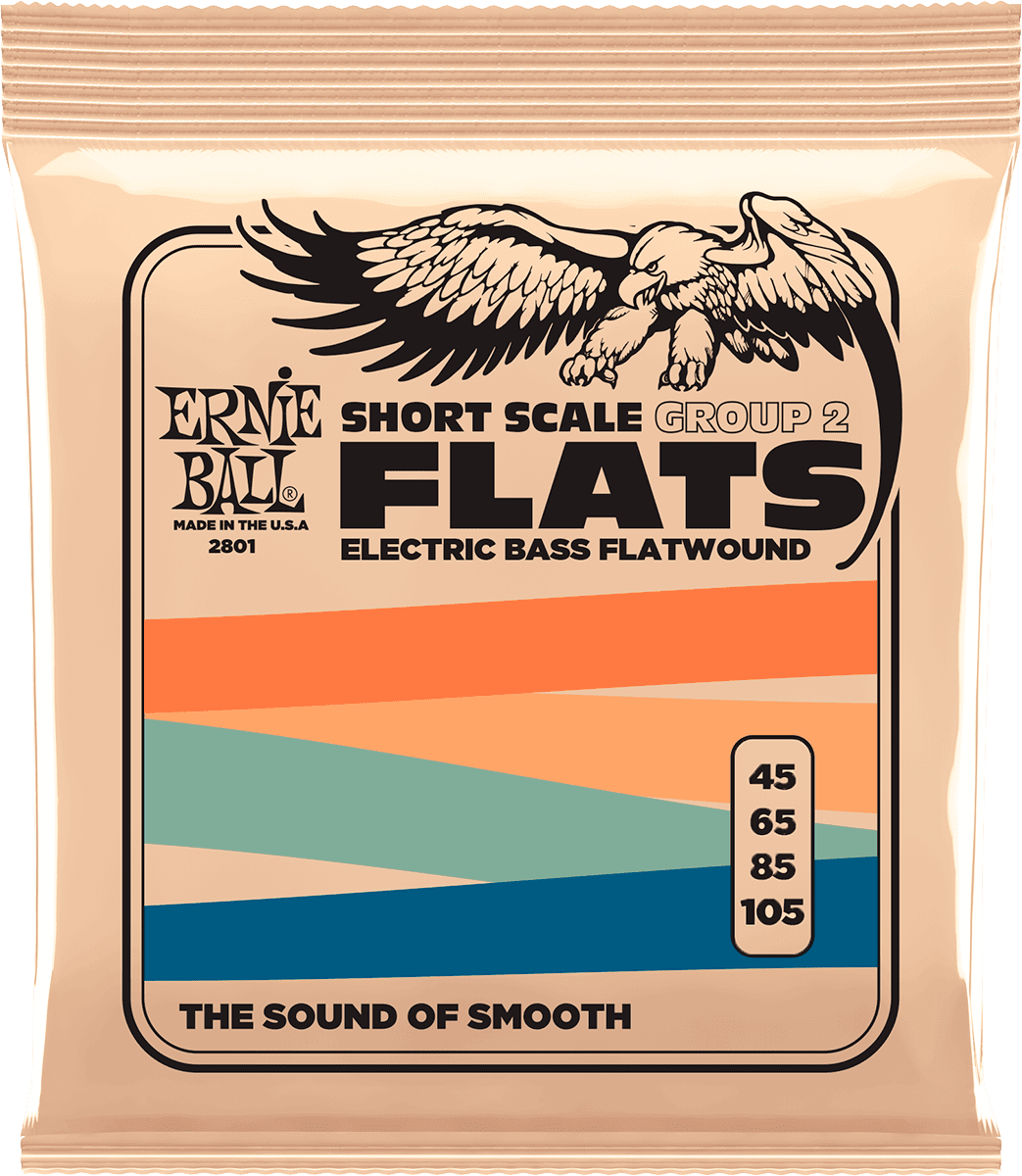 Ernie Ball Slinky Flats Bass Short Scale 45-105 - E-Bass Saiten - Main picture