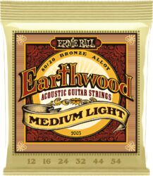 Westerngitarre saiten Ernie ball Folk 2003 Earthwood 80/20 Bronze Medium Light 12-54 - Saitensätze 