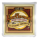 Folk (12) 2012 Earthwood Medium 11-52 - 12-saiten-set