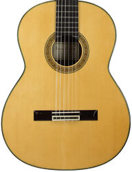 MOD.11 Spruce