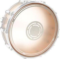 Snare fell Evans Edge Control Reverse Dot  Snare Drum - 14 inches